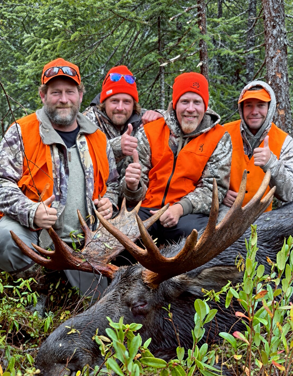 Group of hunters with a harvested bull moose at a remote Wesley's Outposts tent camp