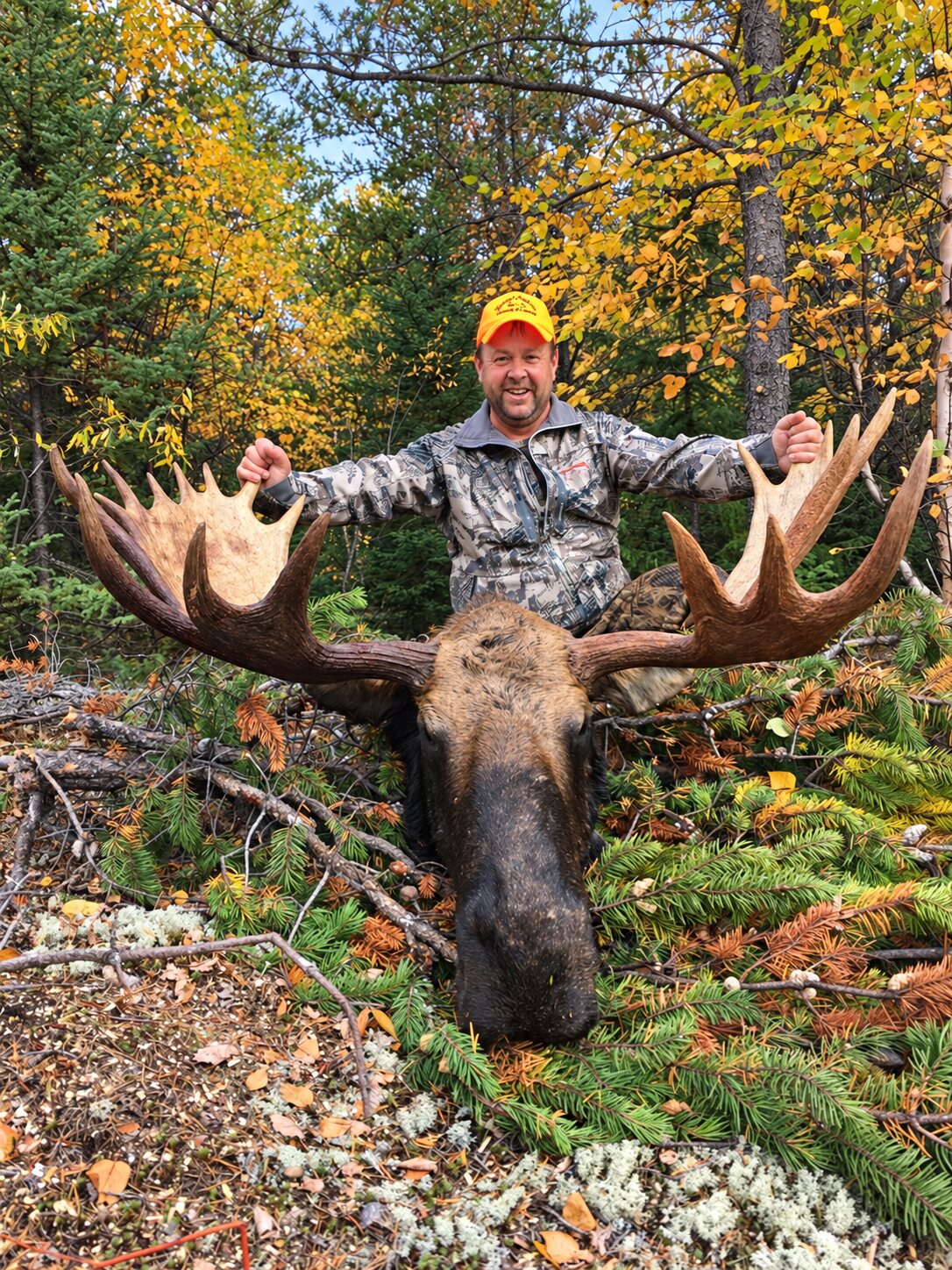 Guest with a harvested bull moose at a remote Wesley's Outposts cabin location