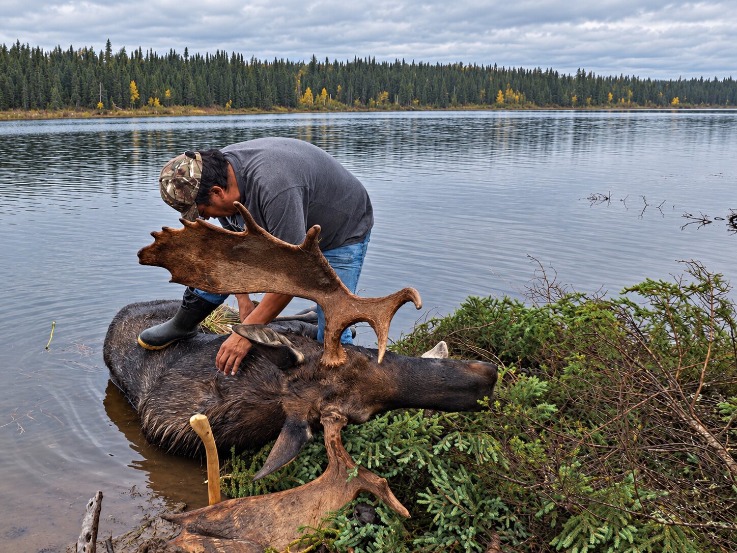 Charles Wesley with a harvested bull moose beside the lake at a remote cabin location