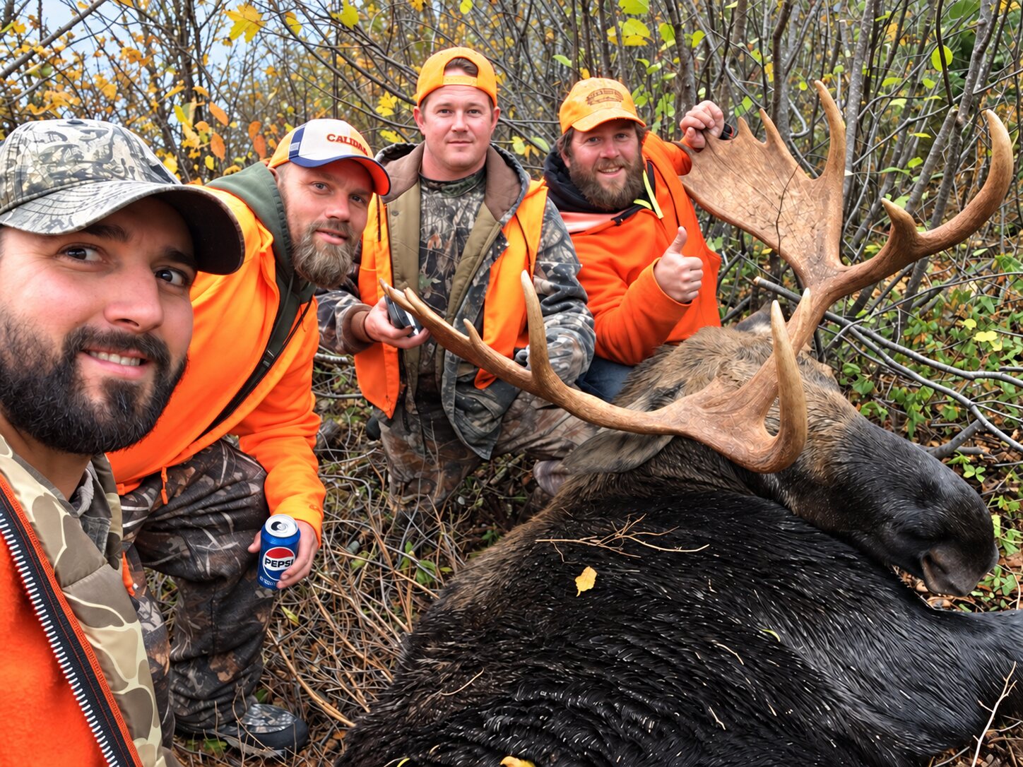 Group of Ontario resident hunters with a harvested bull moose at a remote cabin location