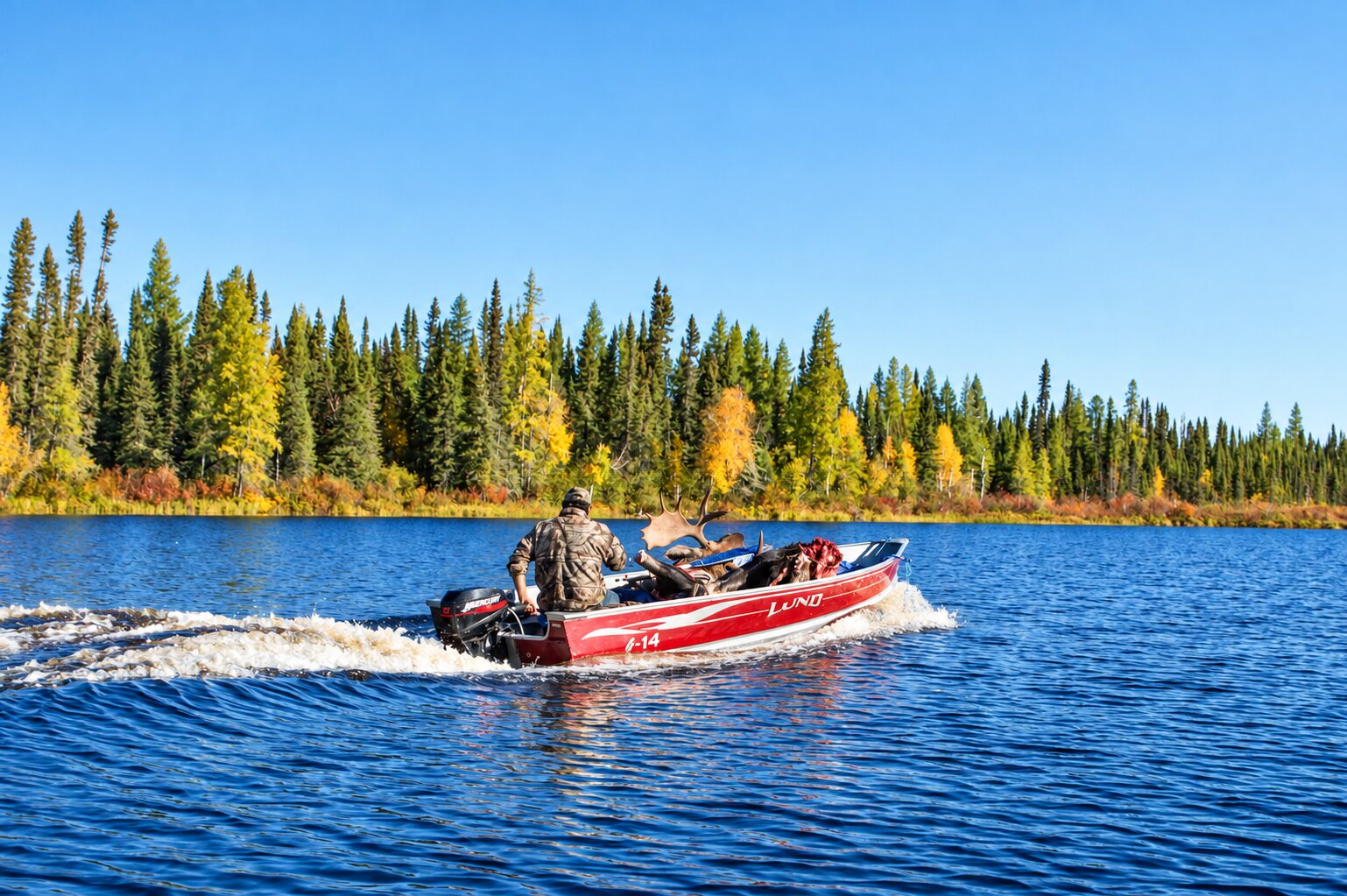 Charles Wesley transporting a quartered moose by boat to a remote cabin after a successful hunt