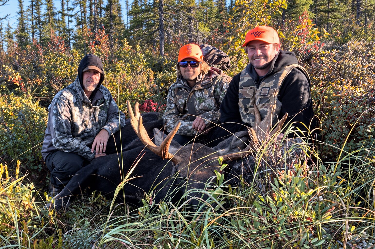 Group of hunters with a harvested bull moose at a remote Wesley's Outposts tent camp