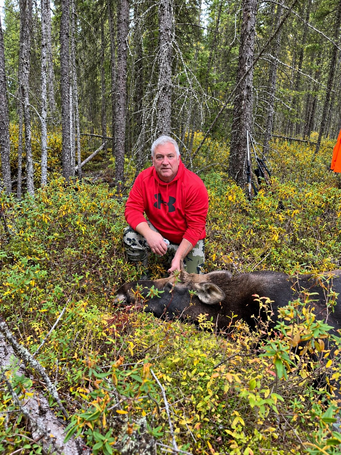 Ontario resident hunter in a red hoodie with a harvested moose at a tent camp location
