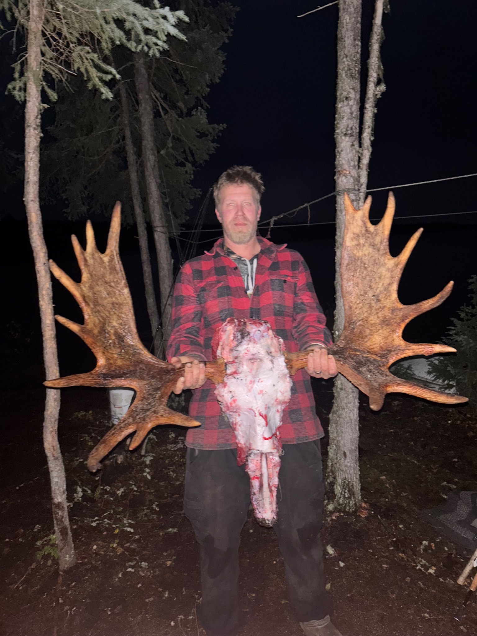 Non-Ontario resident hunter holding a moose skull and rack at night after a successful tent-camp hunt
