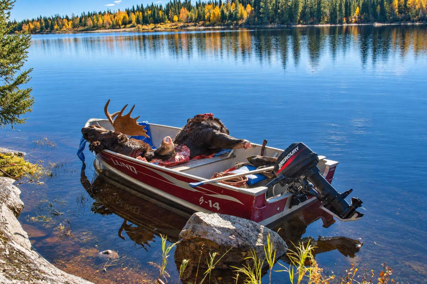 Remote Ontario moose hunt beside an autumn lake